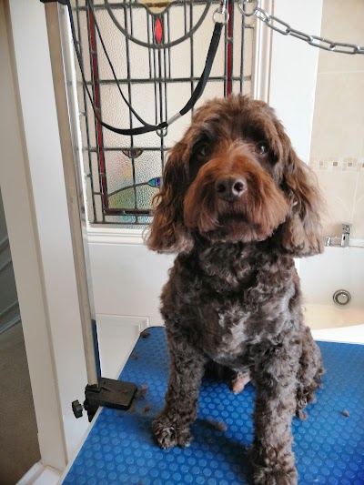 Grooming Van Image