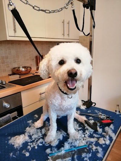 Grooming Van Image