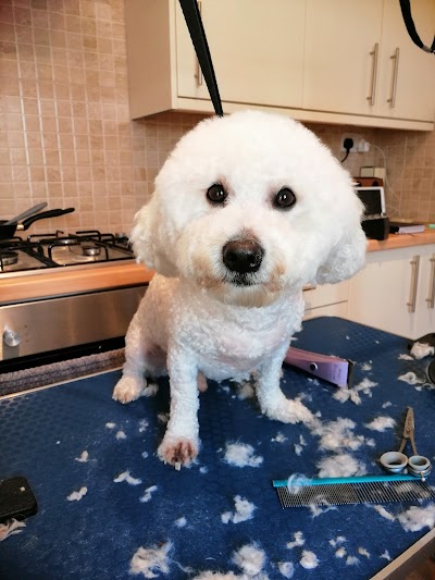 Grooming Van Image