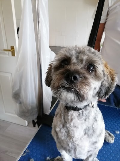 Grooming Van Image