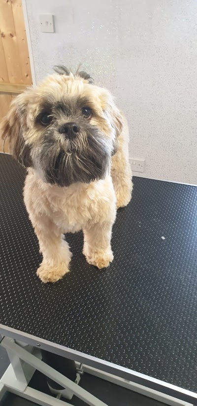 Grooming Van Image
