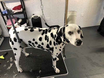 Grooming Van Image