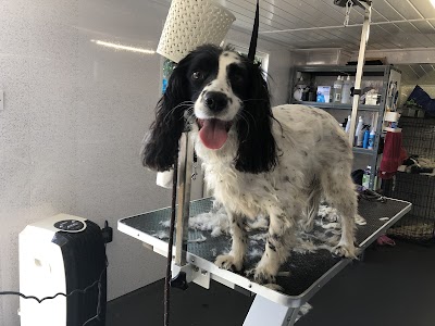 Grooming Van Image