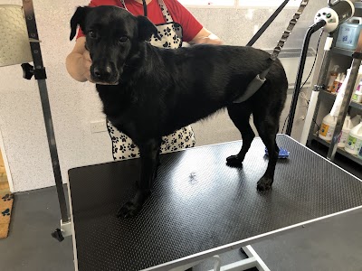 Grooming Van Image