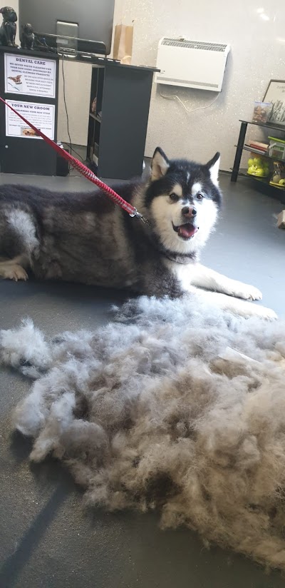 Grooming Van Image