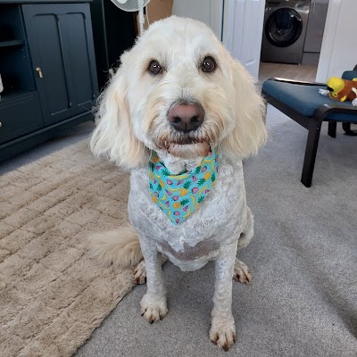 Grooming Van Image