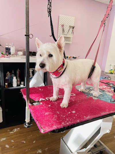 Grooming Van Image