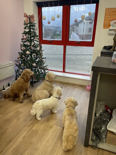 Grooming Van Image