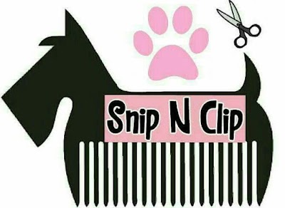 Grooming Van Image