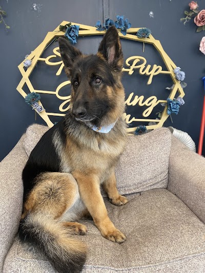 Grooming Van Image