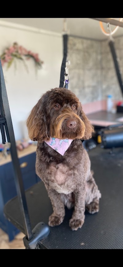 Grooming Van Image