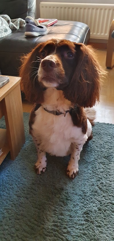Grooming Van Image