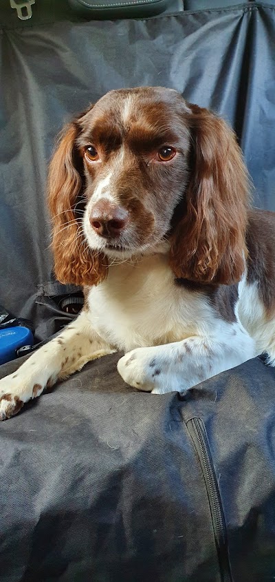 Grooming Van Image