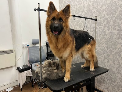 Grooming Van Image