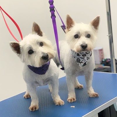 Grooming Van Image