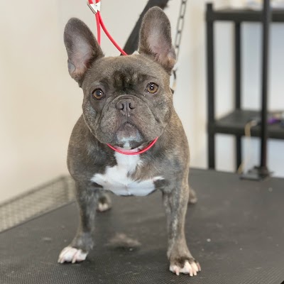 Grooming Van Image