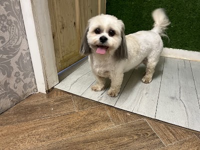 Super Grooms Dog Grooming Yoker
