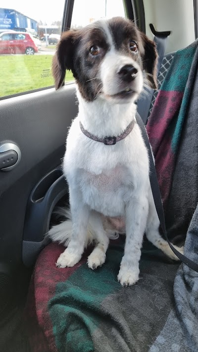 Grooming Van Image