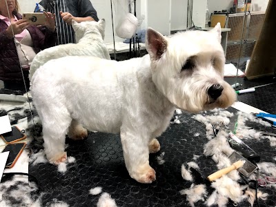 Grooming Van Image