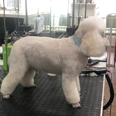 Grooming Van Image