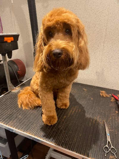 Grooming Van Image