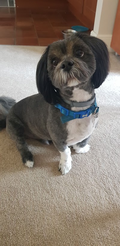 Grooming Van Image