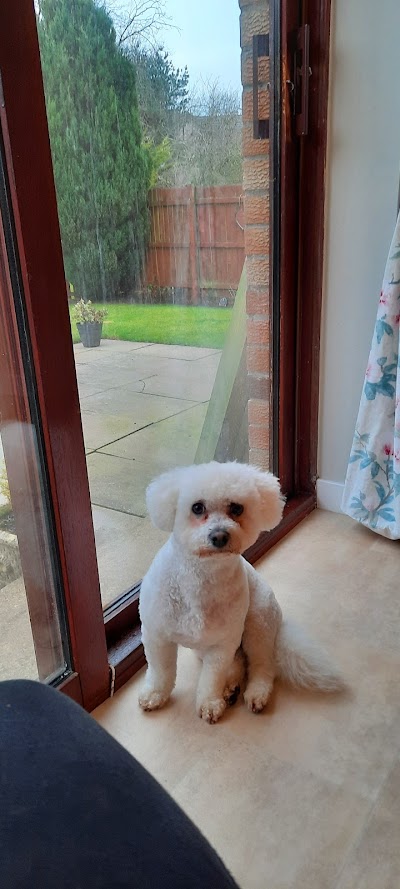 Grooming Van Image