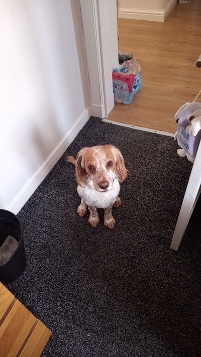 Grooming Van Image