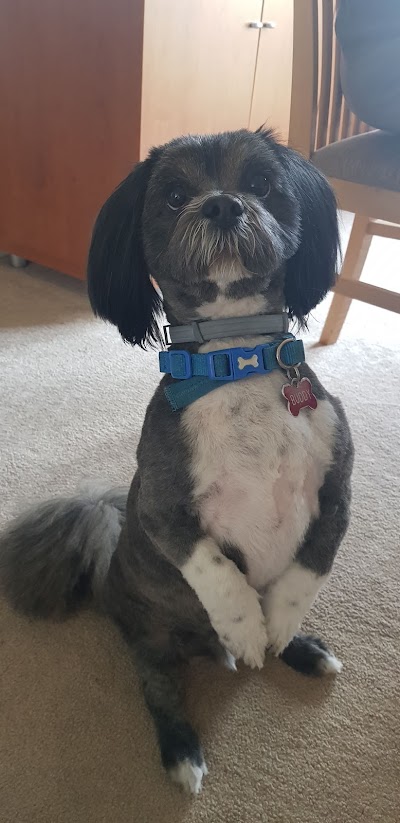 Grooming Van Image