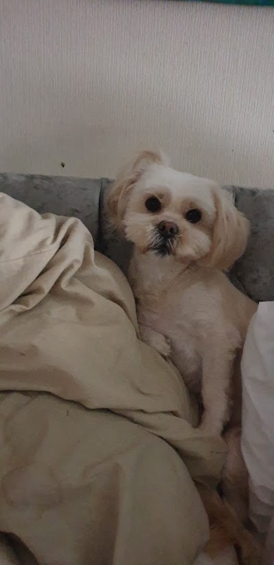 Grooming Van Image