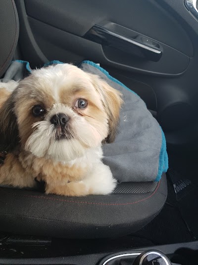 Grooming Van Image