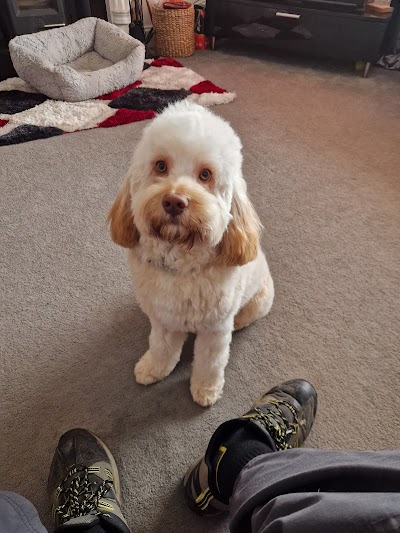 Grooming Van Image