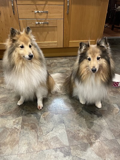 Grooming Van Image