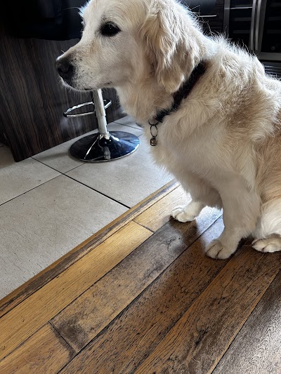 Grooming Van Image