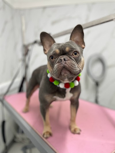 Grooming Van Image