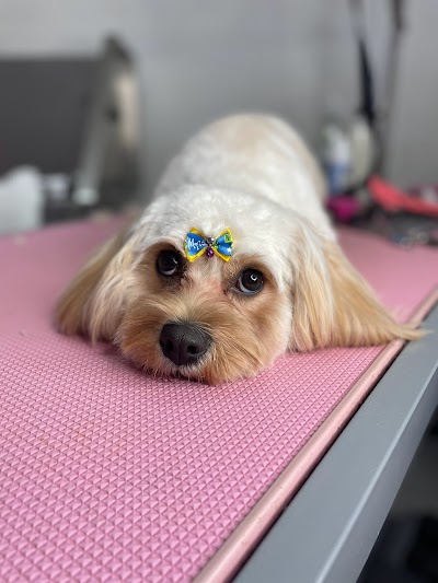 Grooming Van Image