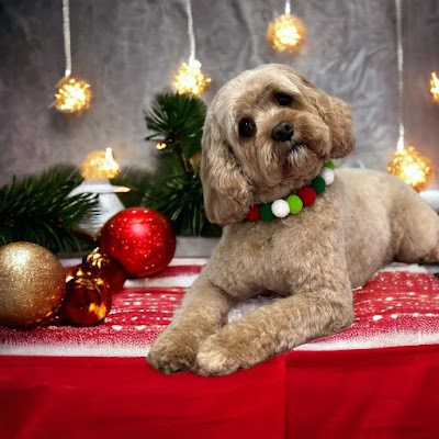 Grooming Van Image