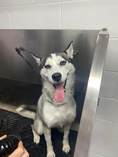 Grooming Van Image