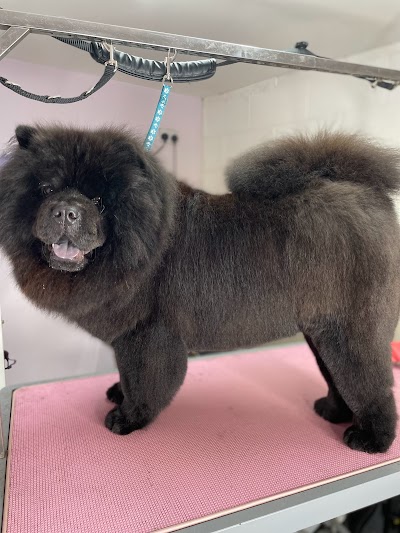 Grooming Van Image