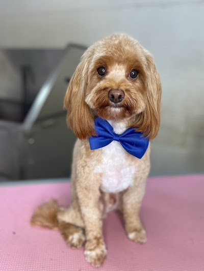 Toni’s Pet Spa & Training Academy.