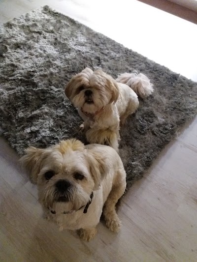 Grooming Van Image