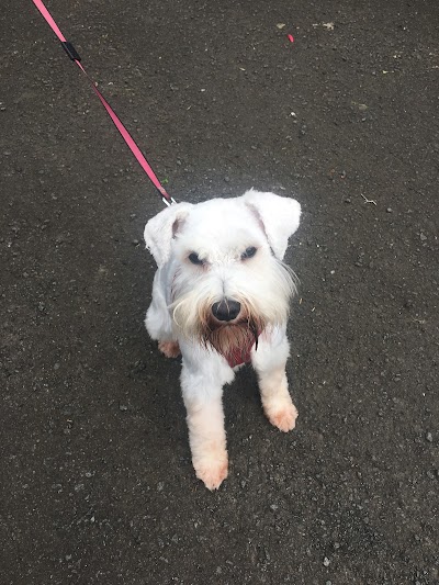 Grooming Van Image