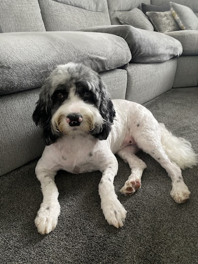 Grooming Van Image