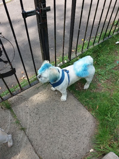 Grooming Van Image