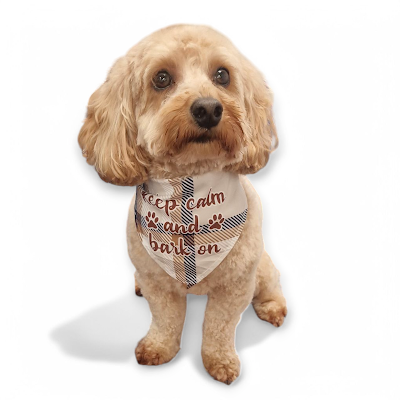 Grooming Van Image