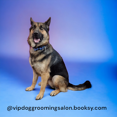 Grooming Van Image