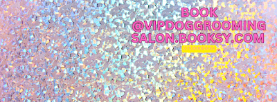 Vip dog grooming salon