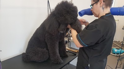Grooming Van Image