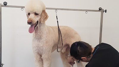 Grooming Van Image
