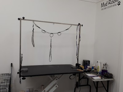 Grooming Van Image